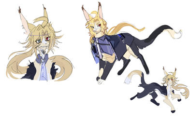 Reference Clothes