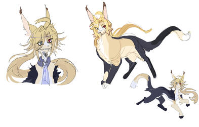 Reference