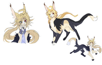 Reference Symmetrical